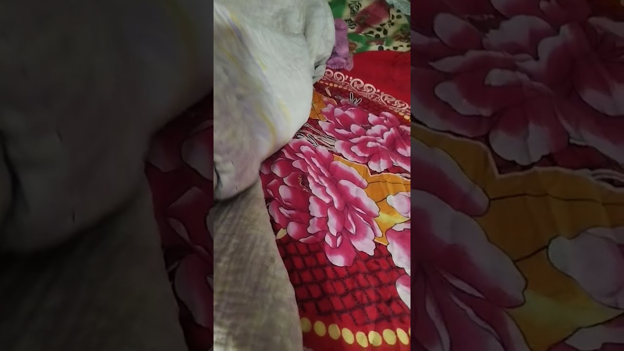Расслабляющие ежедневные видеоролики о счастливой жизни. #релаксация