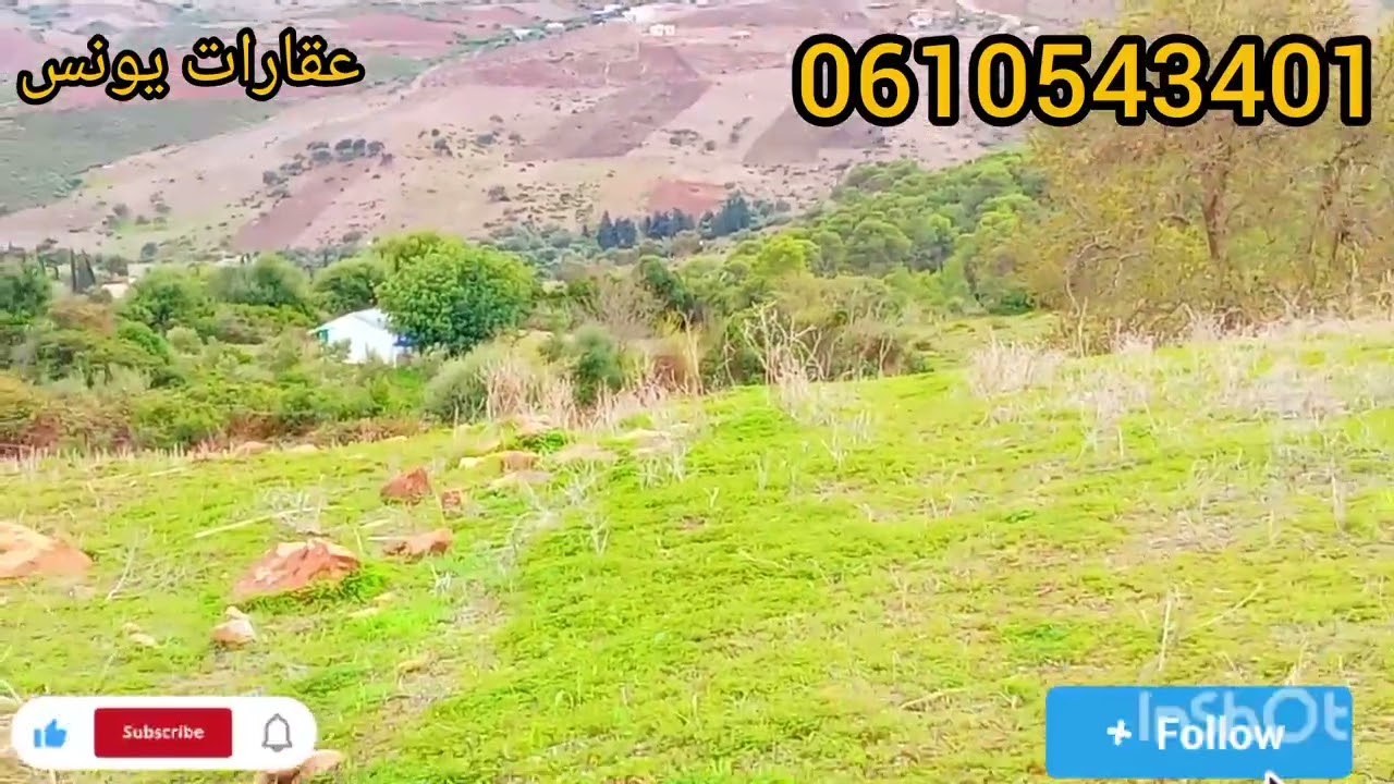 جوج هميزات فيهم 1500 متر نواحي تطوان طريق طنجة تمن هو.ة موقع رائع 🌅تمن 5 مليون 🚨لي باغي همزة مرحبا 