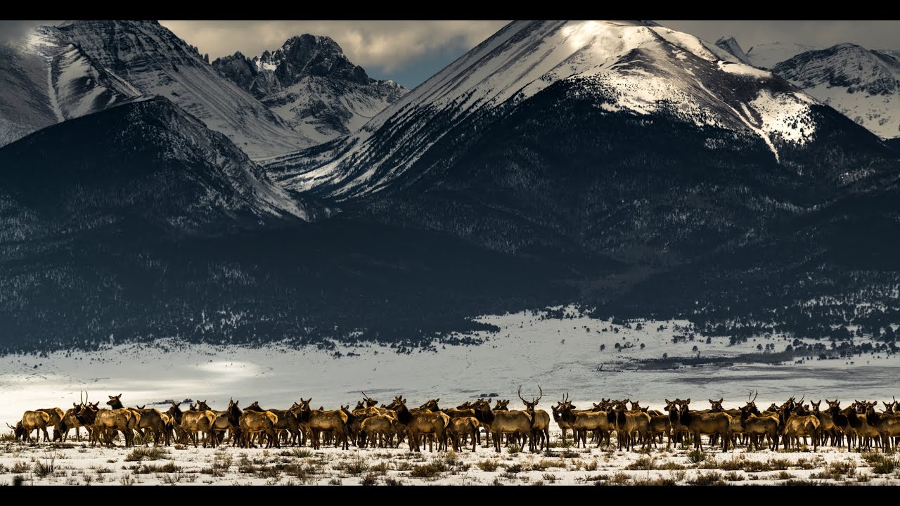 Winter in Westcliffe, Colorado