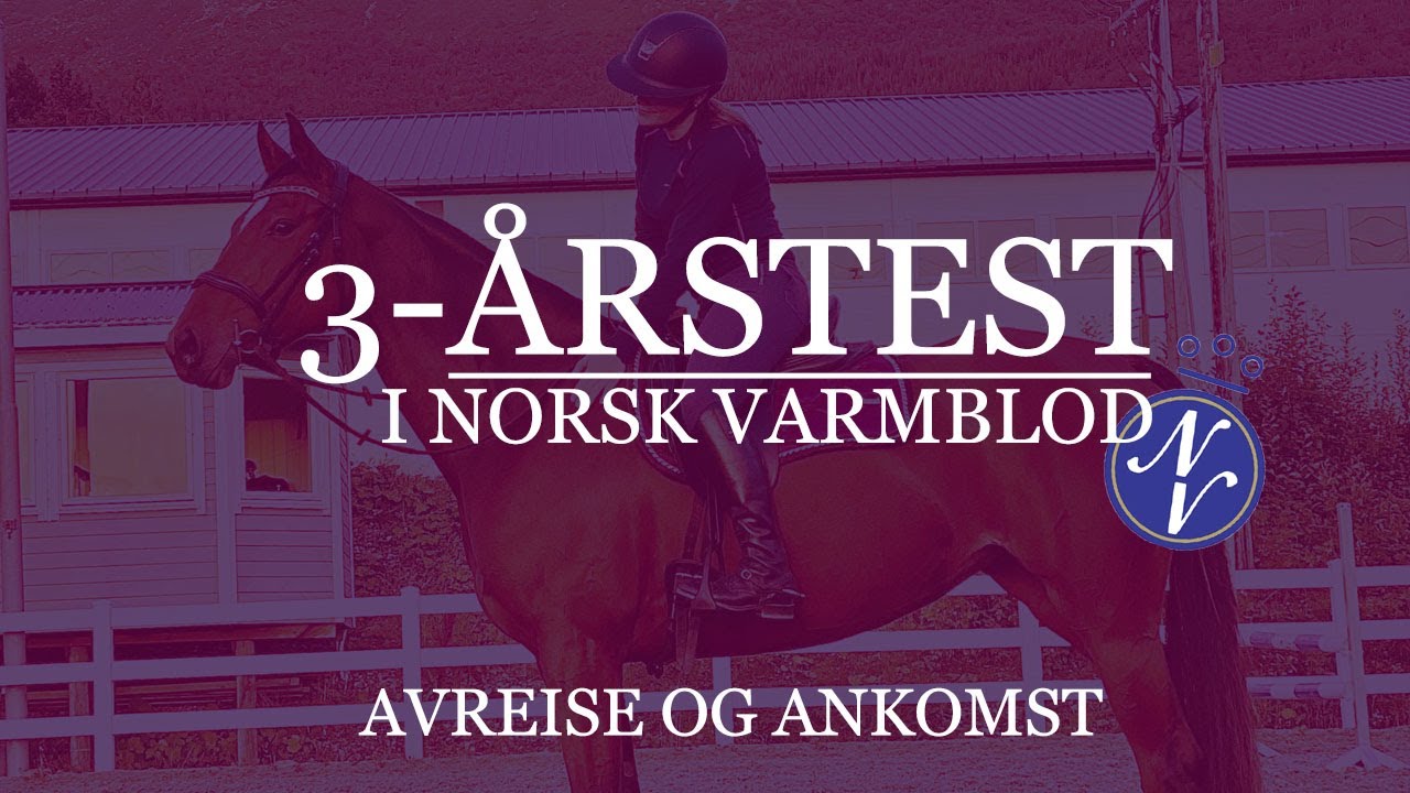UNGHESTTEST I NORSK VARMBLOD - DEL 1