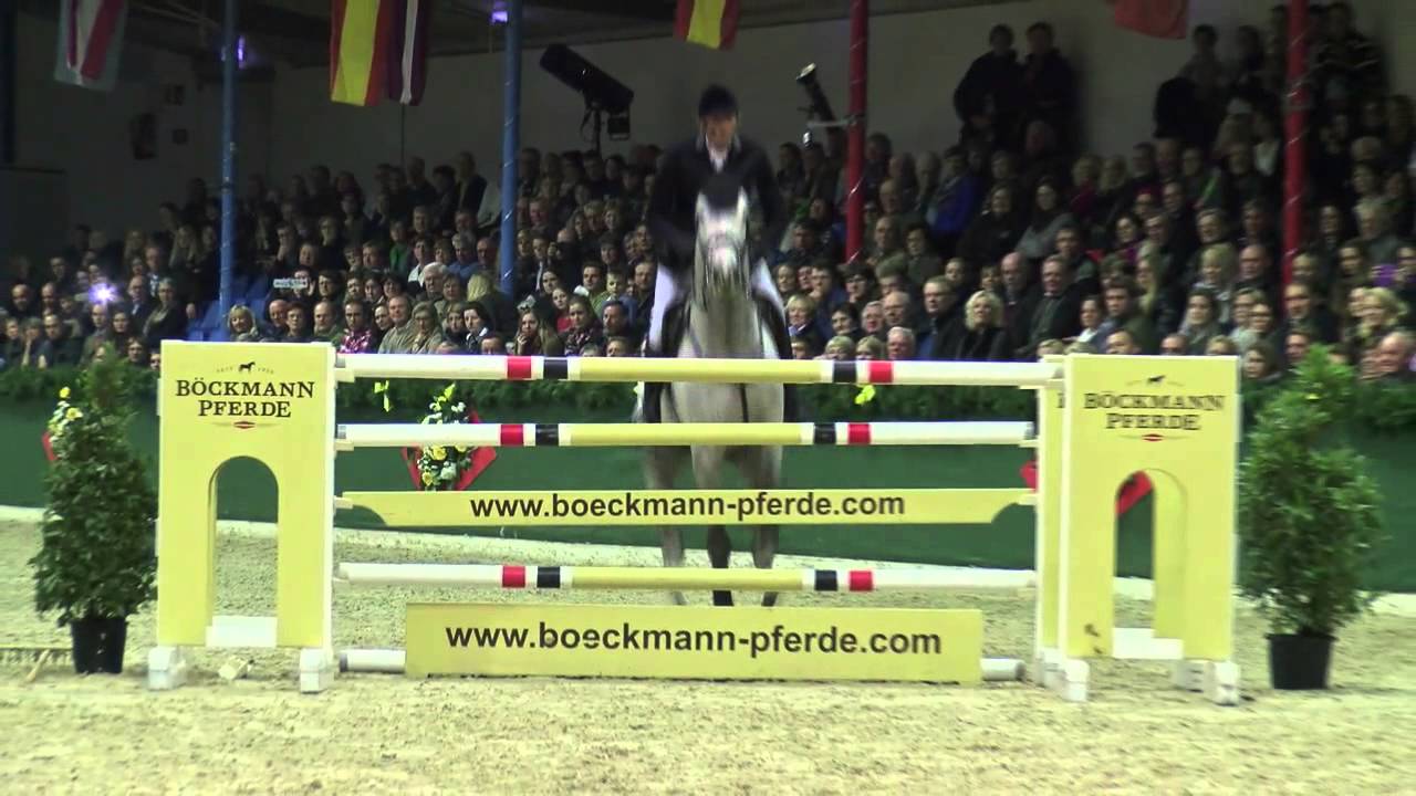 Christian v. Cartani - Lord Liberty / Hengstvorführung Vechta 2014 - Böckmann Pferde
