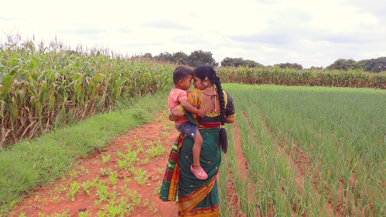 ಪಾಲಕ್ ಸೊಪ್ಪು ಮತ್ತು ಕಡ್ಲಿಕಾಳ್ ಕರ್ರಿ ಅದರ ಜೊತೆಗೆ ಬಿಸಿ ಬಿಸಿ ಗೋಧಿ ಹಿಟ್ಟಿನ ಚಪಾತಿ / village food/ village 