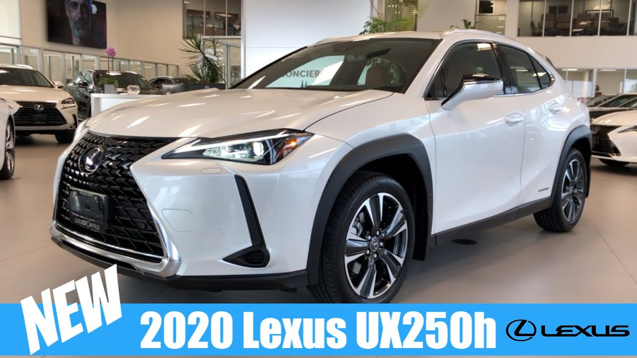 2020 Lexus UX250h AWD Eminent White Pearl | In-Depth Video Walk Around