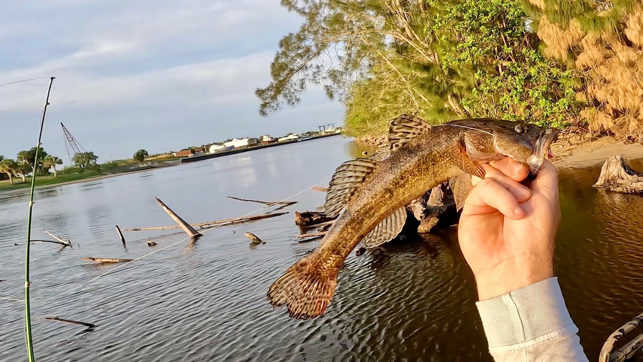 Rare Big Mouth Sleeper Fish, Huge Cichlids, Giant Snakeheads and Big Bass (2 day Catch and Cook)