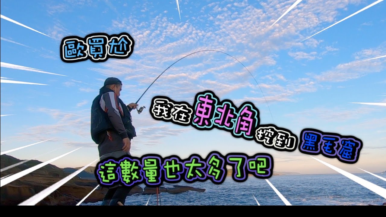 噢買尬   我在東北角挖到黑毛窟｜這數量也太多了吧＃釣魚＃磯釣＃東北角