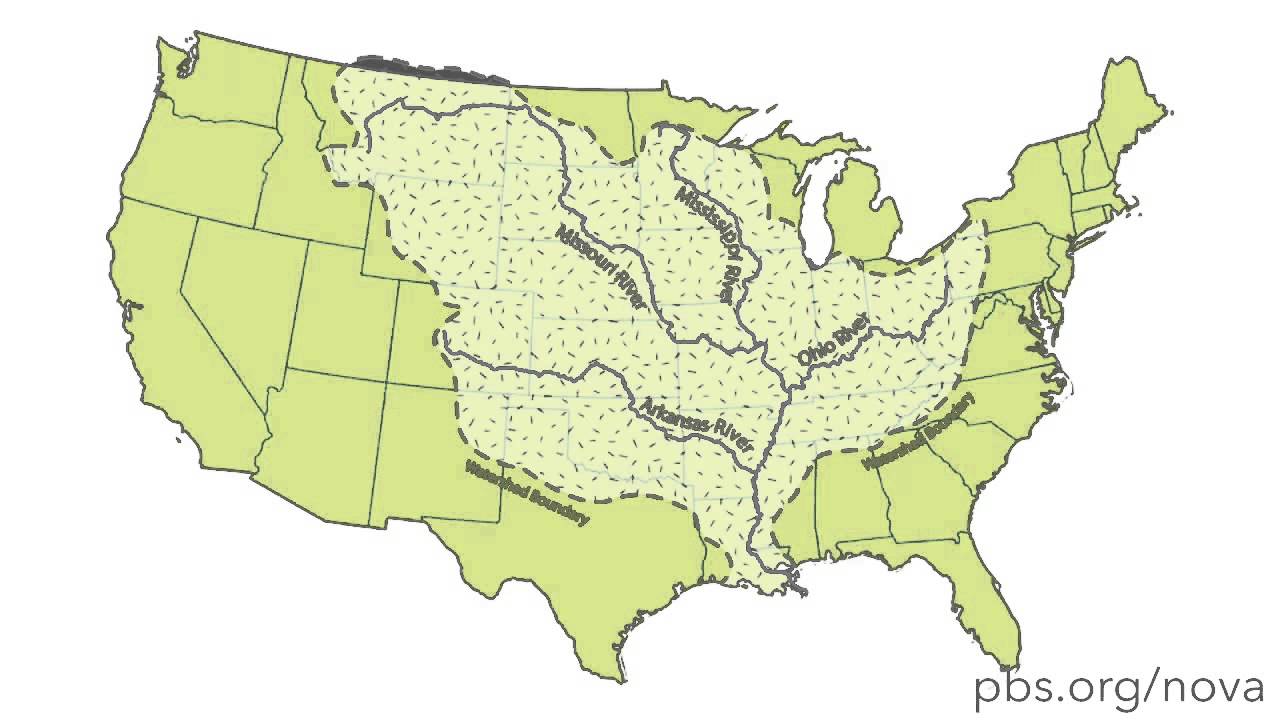 The Pattern in Nature's Networks