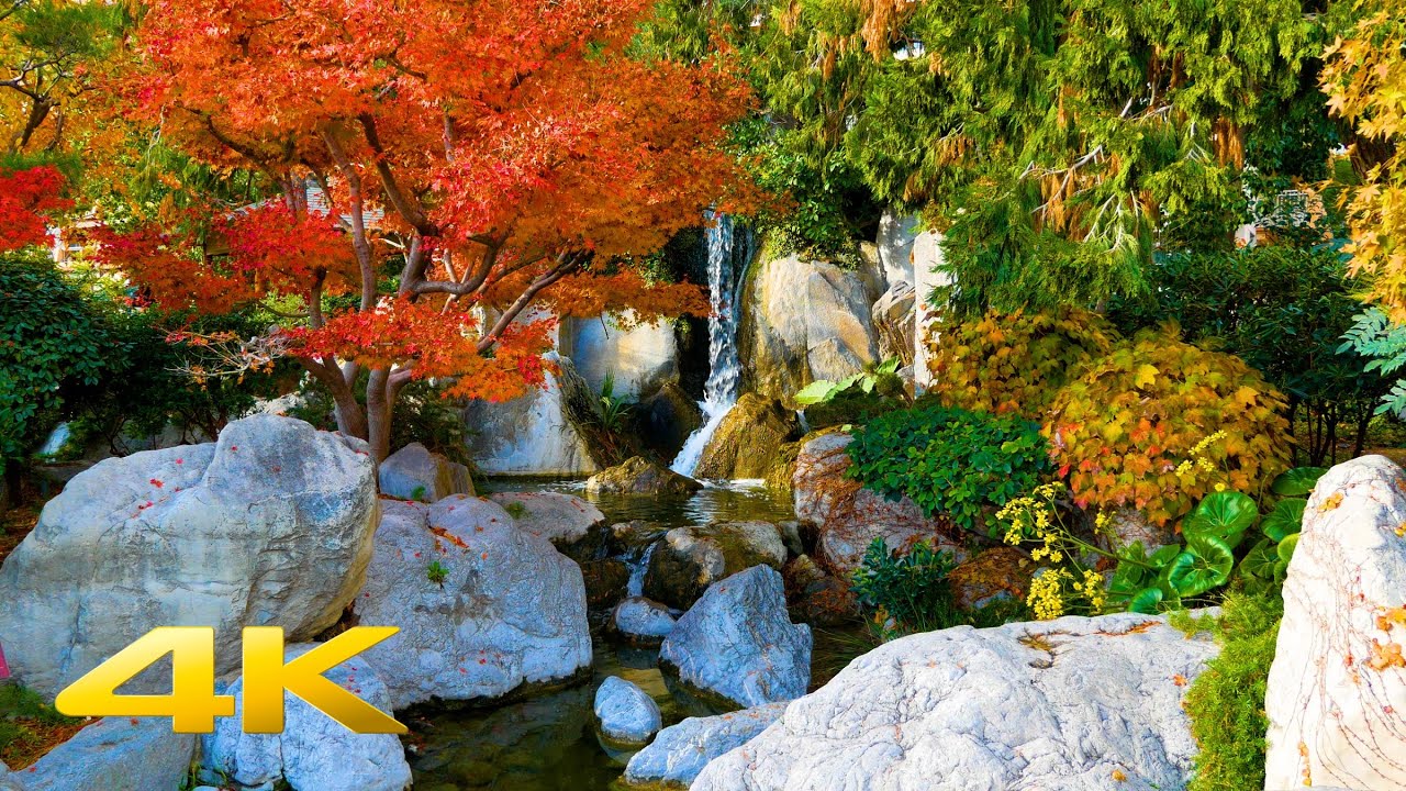 Japanese Garden in Monaco | Calming water sounds | Nature relax 4k HDR | Study | Meditation | Sleep