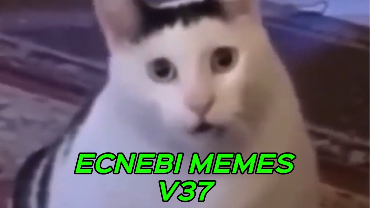 ECNEBI MEMES V37