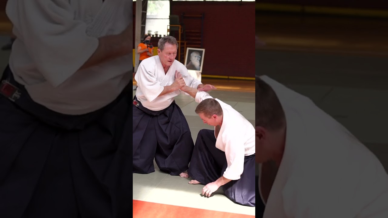 Nikkyo #aikido #aikidotechniques #aikidodemonstration