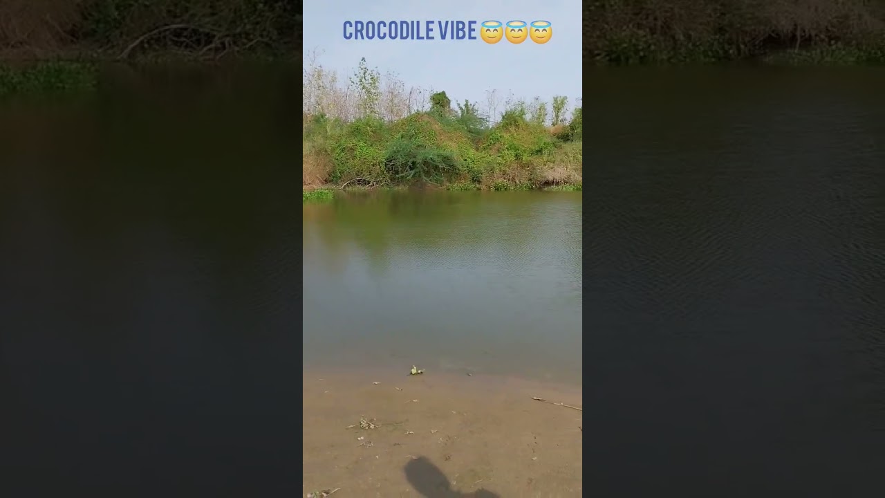 NEVER EXPECT THIS 😨😨😨 #crocodile @itmeenavan-fishinglife @johnnyfishingtackle @FishWithHanish