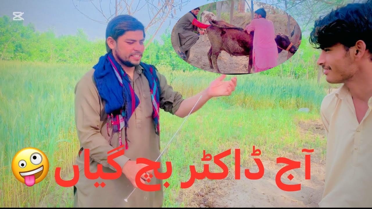 Doctor Gay ko gang ko dost kar raha hai