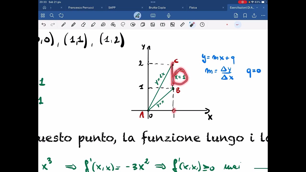 Studio di funzione in due variabili con vincolo un triangolo.