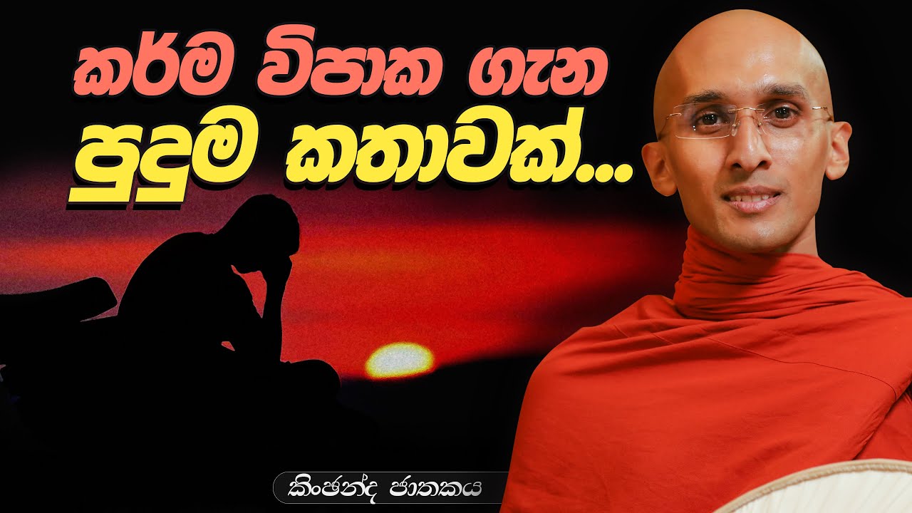 284. කර්ම විපාක ගැන පුදුම කතාවක් | කිංඡන්ද ජාතකය | 2024-03-09