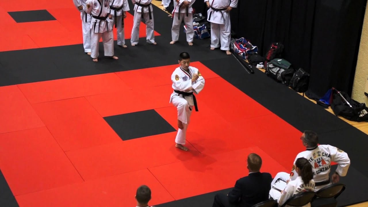 Jung Yul-2nd degree black belt form
