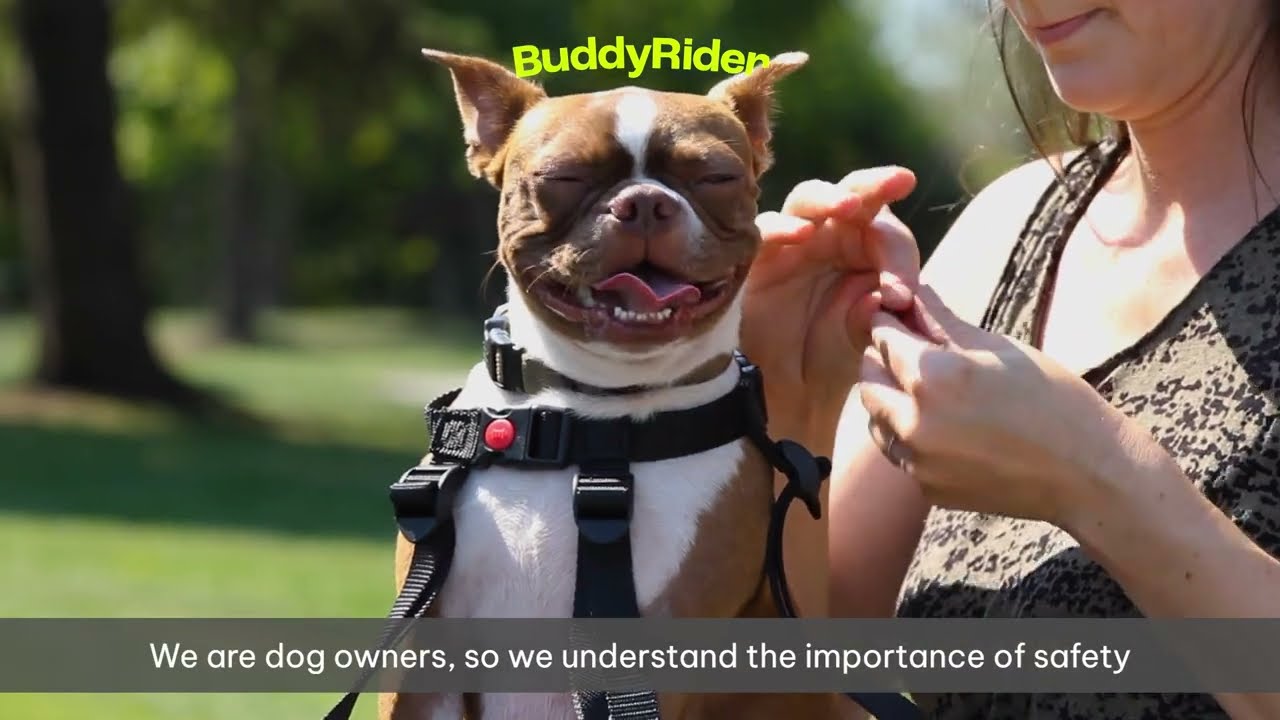 Buddyrider Instructional Setup Video