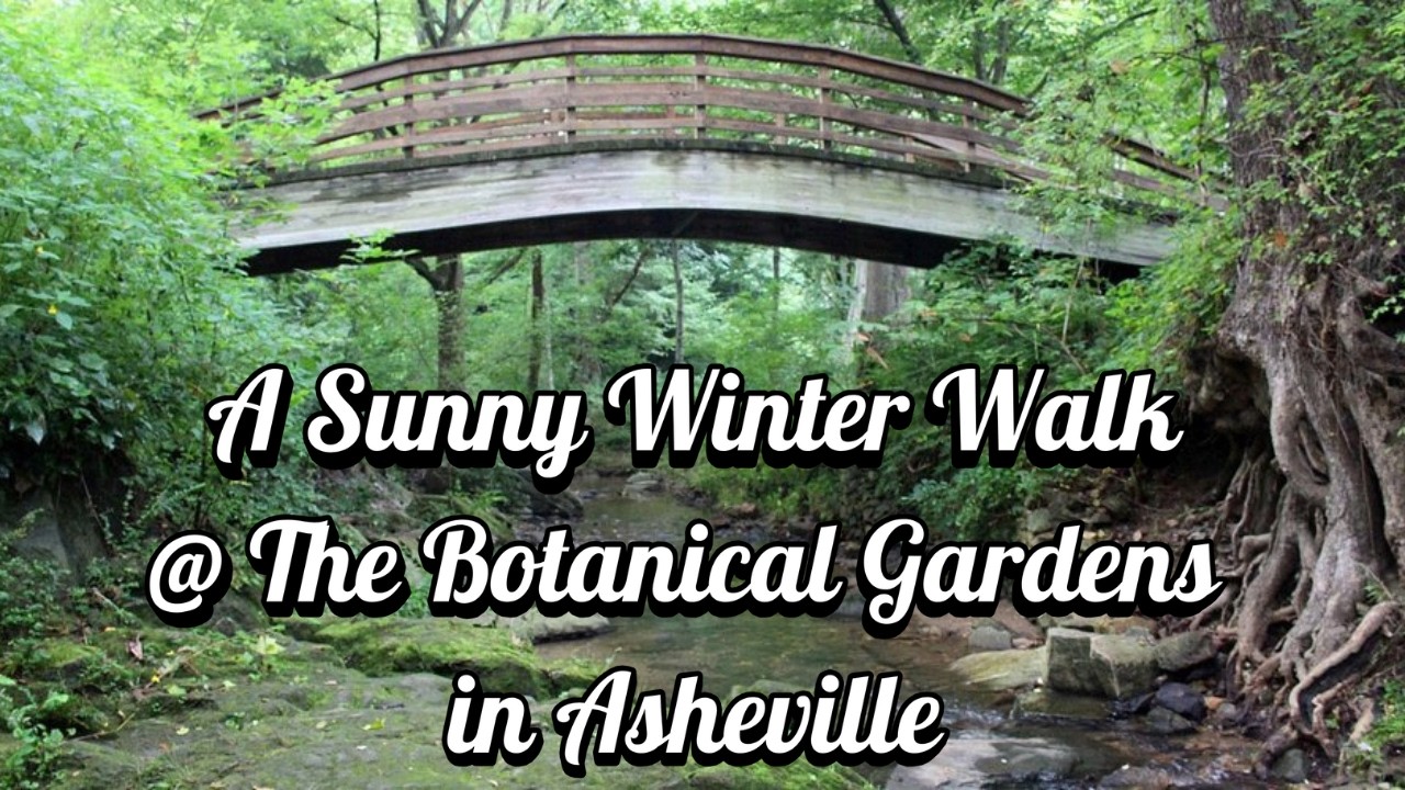 A Sunny Winter Walk @ The Botanical Gardens of Asheville #walkingtours #naturelovers