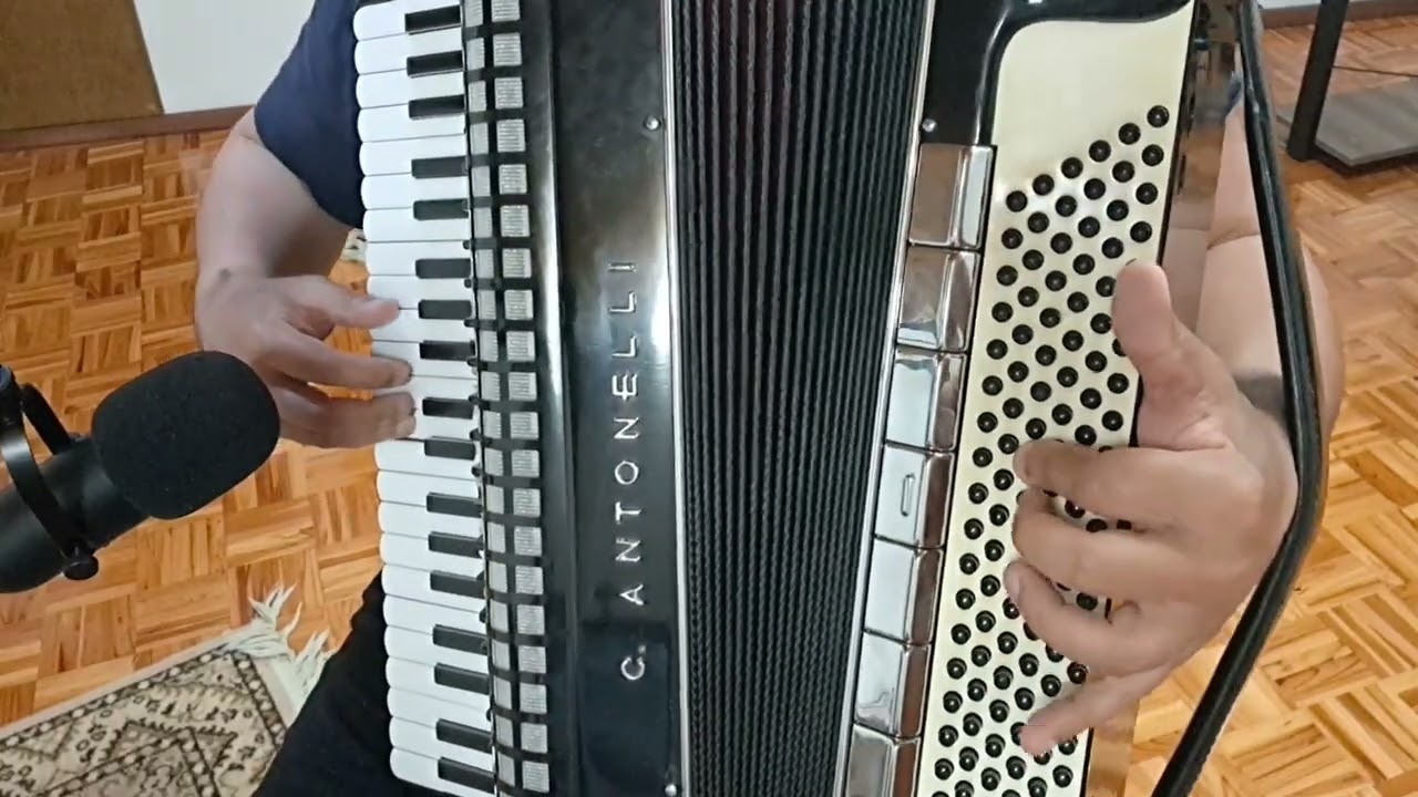 Quer ficar bom de sanfona? Assista