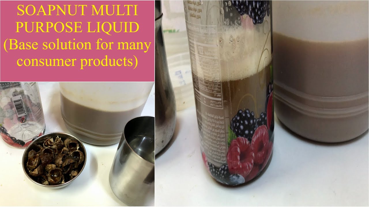 Soap nut Bio Enzyme /MPL(Multi Purpose Liquid) - a natural foamy  all purpose cleaner - base product