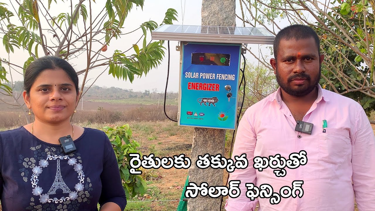 తక్కువ ఖర్చుతో సోలార్ ఫెన్స్ ఎలా ఏర్పాటు  చేసుకోవాలి?అడవి పందులు,కోతుల నుండి పంటకు రక్షణ|BlikeBindu