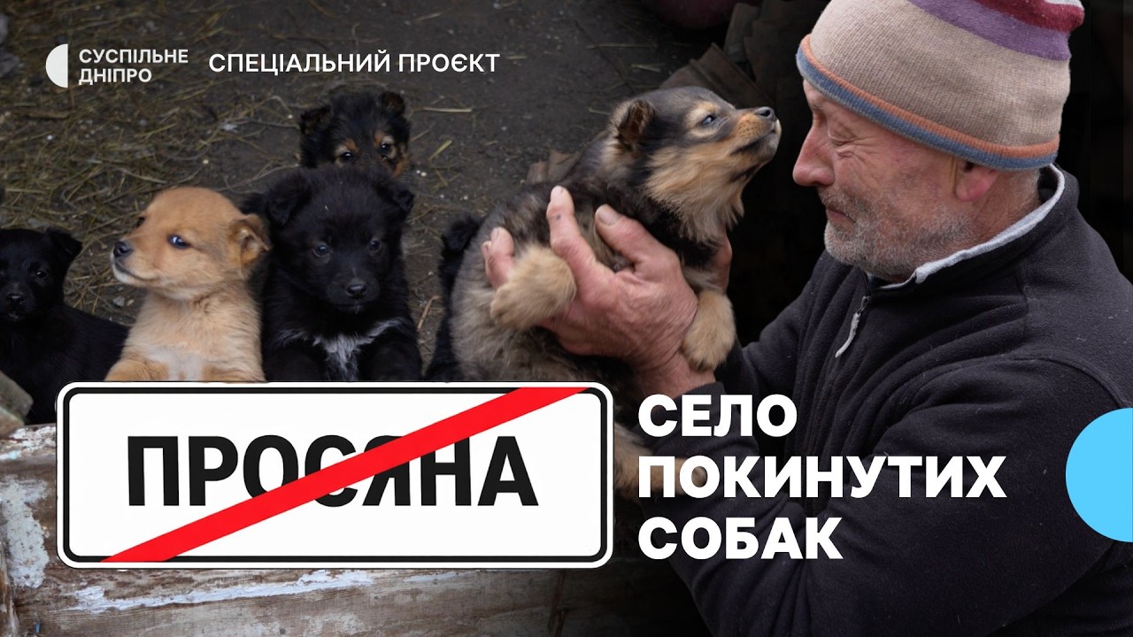 «Не за себе, за собак боюся» Як живуть у Просяній за 17 кілометрів від лінії бойових дій