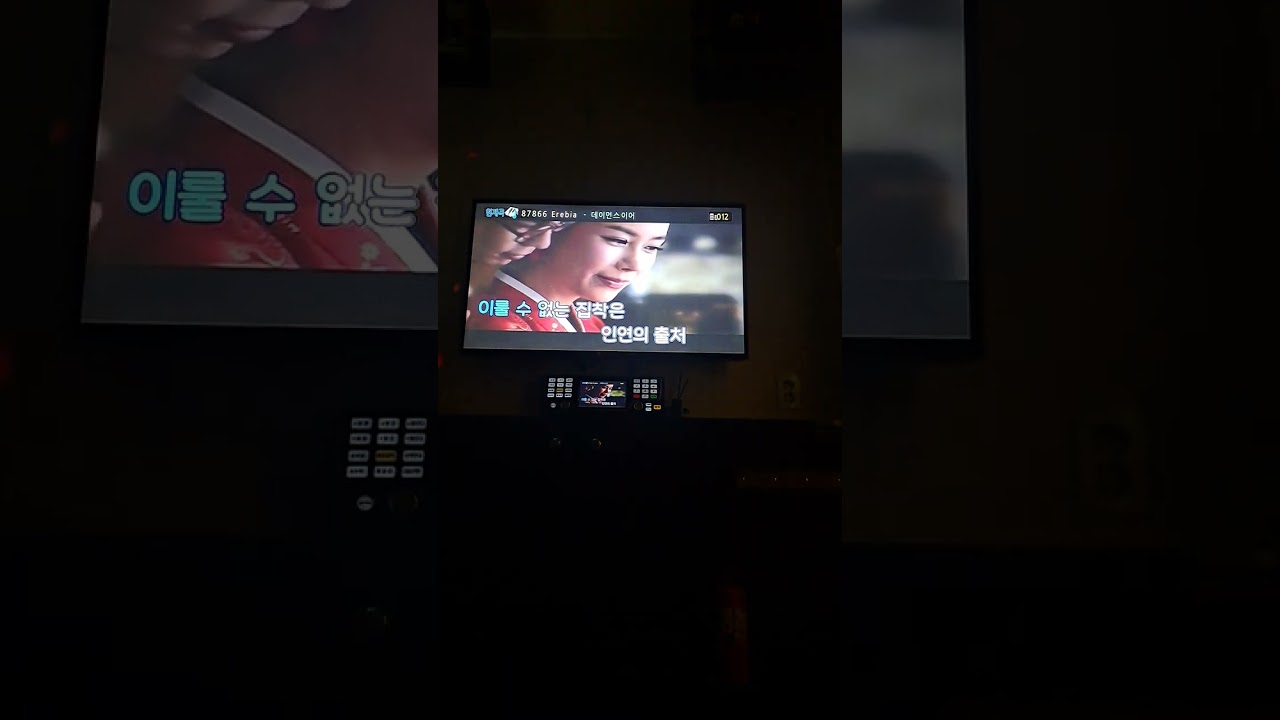 데이먼스 이어(Damons year) - Erebia(일반인 노래방 cover)