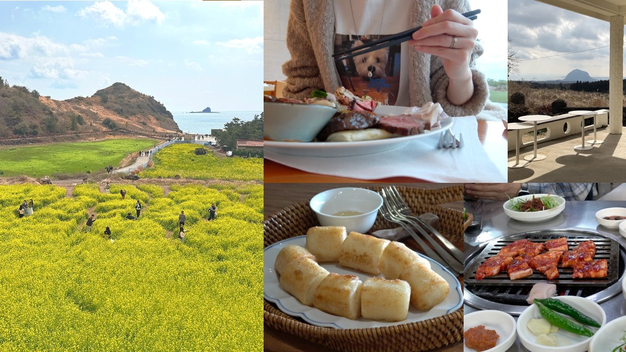 제주도 여행 브이로그 𓂃 ࣪ ✽ ˒  부모님과 함께 제주 또간집 ・ 유채꽃 스팟 ・ 해비치 리조트