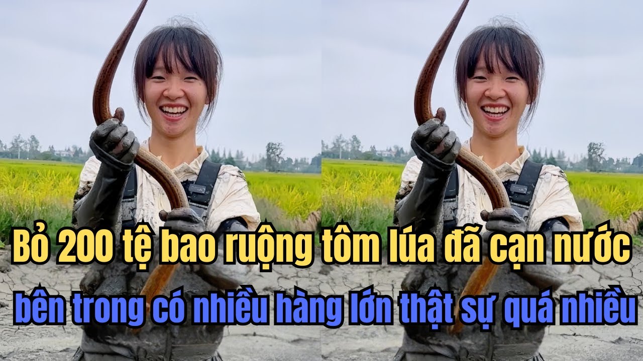 CHI CƯỢC 200 TỆ: Khi Chú Chủ Ao Không Tin ẢO MUỘI Biết Bắt Lươn Và Cái Kết Bội Thu Bất Ngờ.