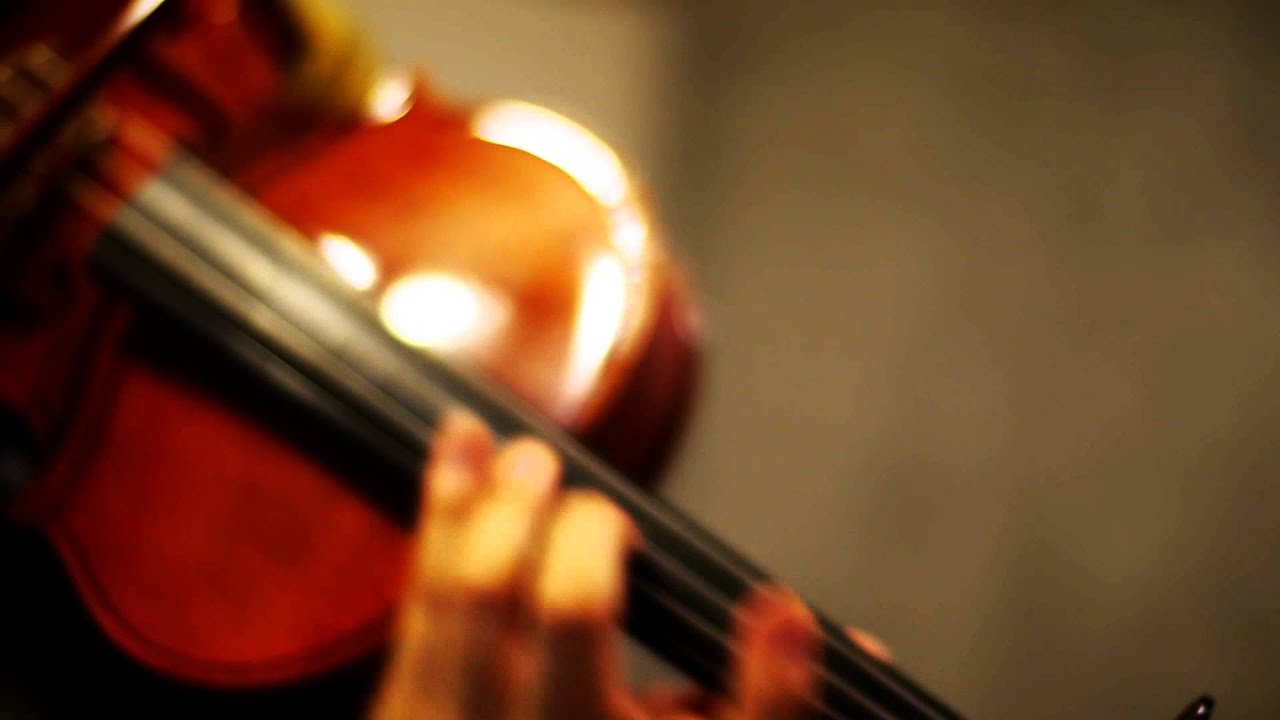 Ayano's Theory of Happiness (アヤノの幸福理論) -IA (Viola Cover -not Violin)