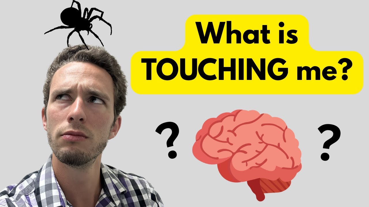 Your Brain LIES? Sensation vs. Perception (Heart Attack & Runner's High Examples)