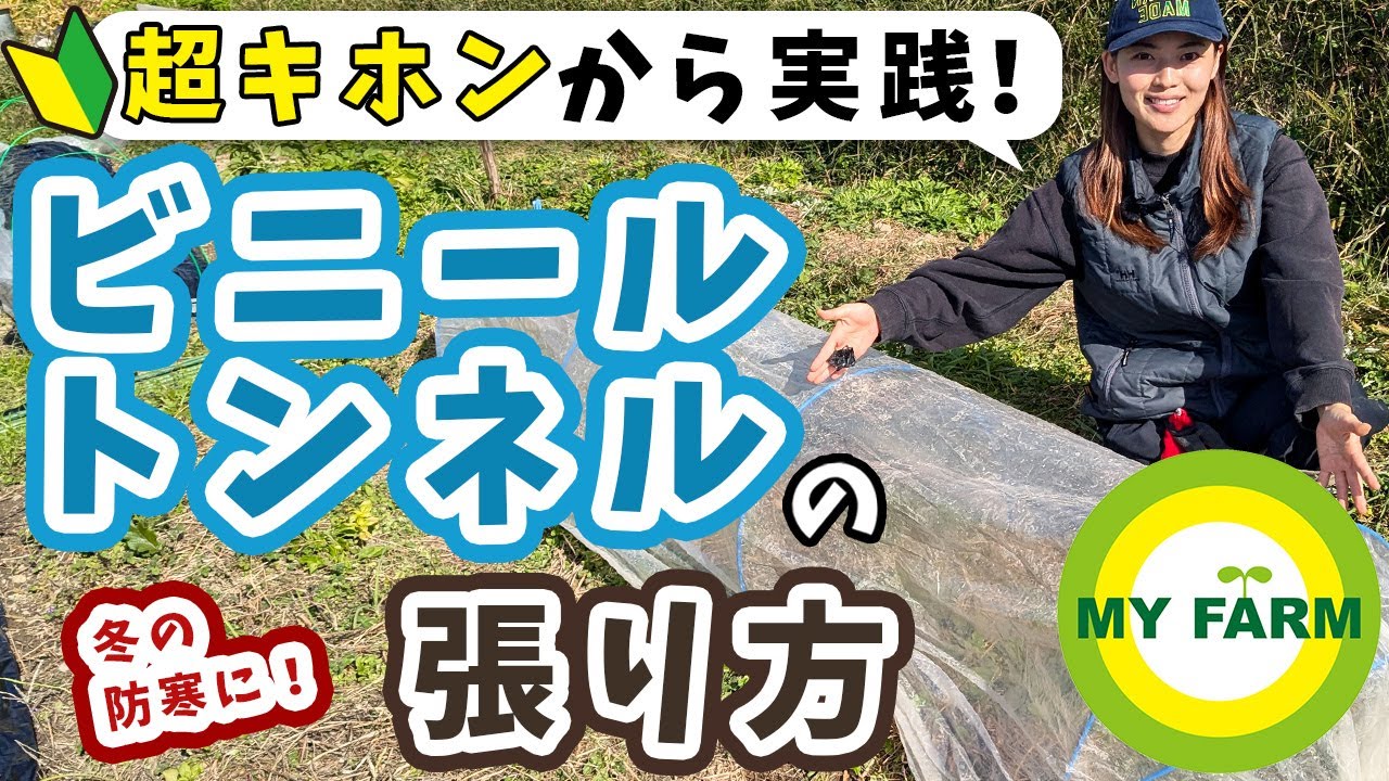 ビニールトンネルの張り方を超基本から！必要な道具や使い方のポイントも│モリミサと学ぶ有機栽培