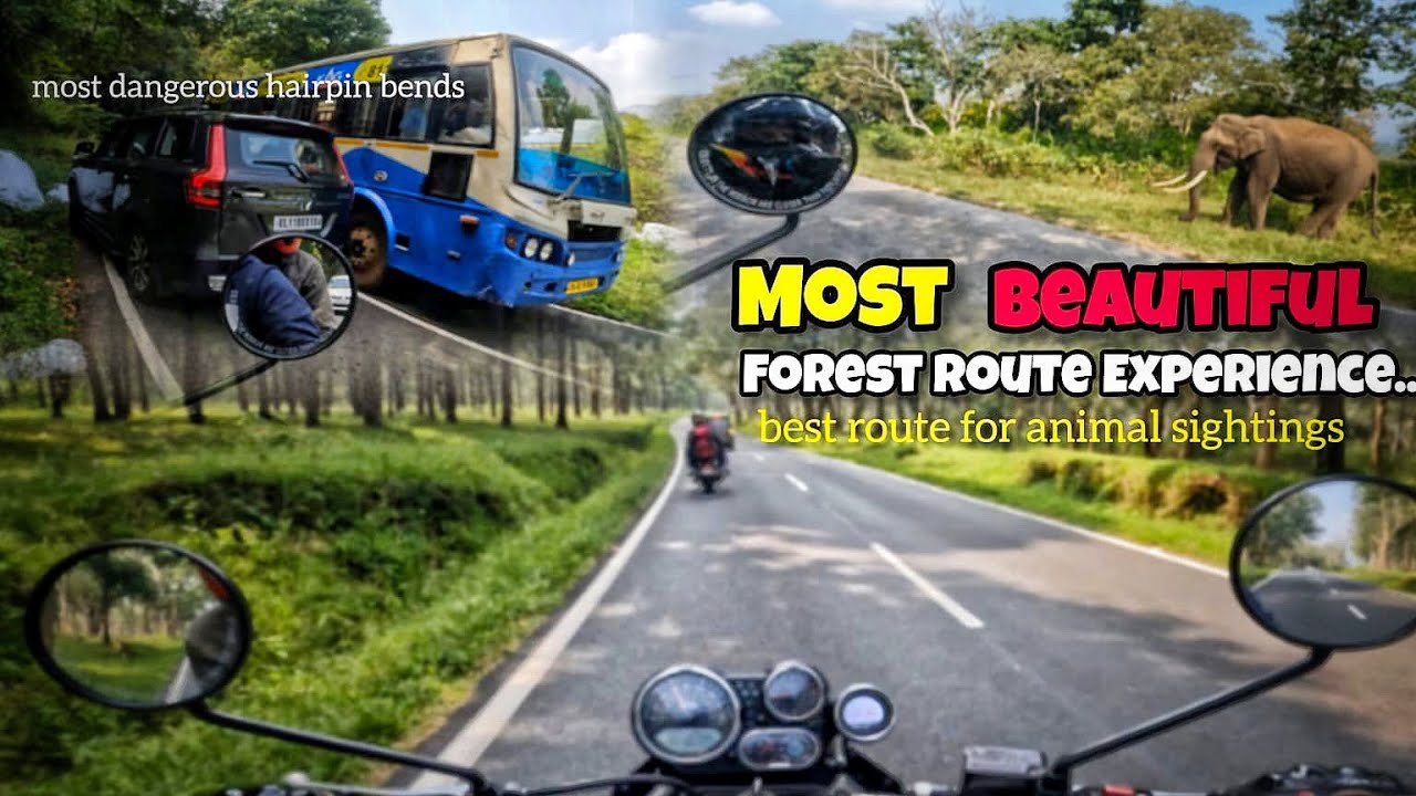 Masinagudi to Ooty | Ride With himalayan 400 |