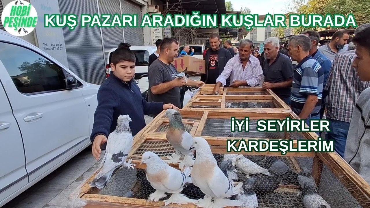 İZMİR PAZARI #17  ARADIĞIN KUŞLAR BURADA  28 Eylül 2025 #izmirkuşpazarı 