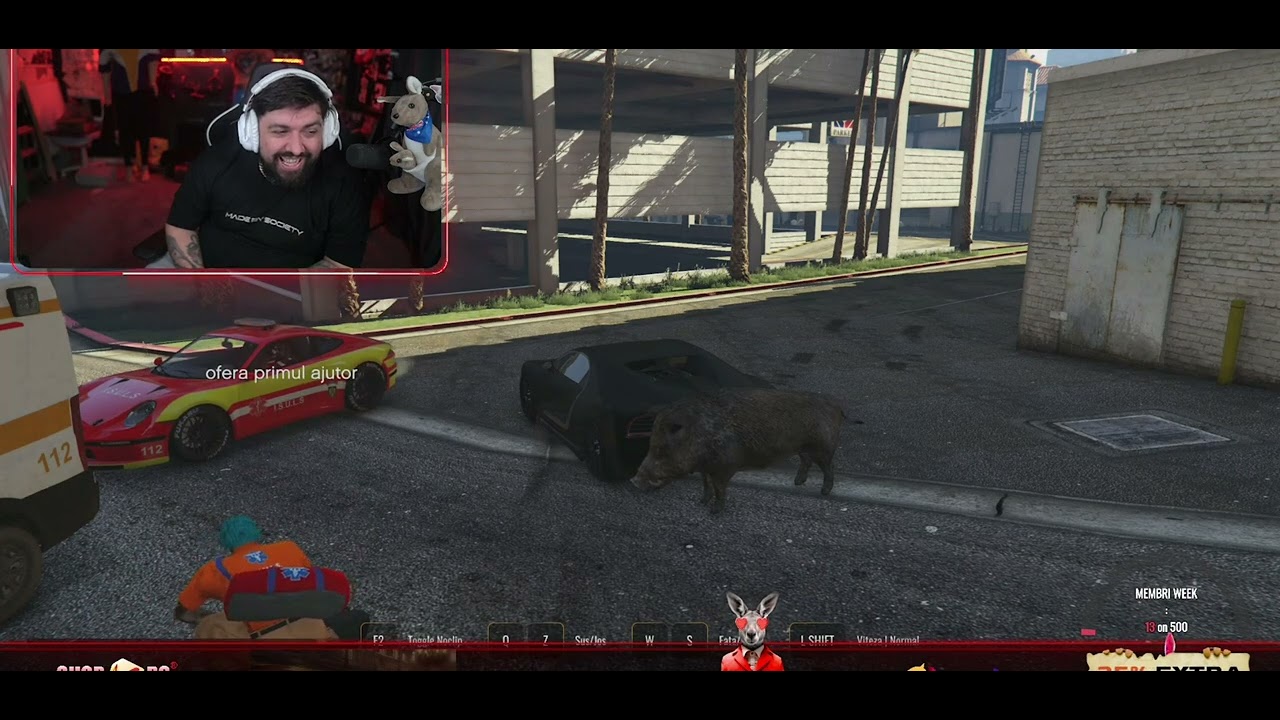 IMOGEN (MIREASA FANTOMĂ) ȘI HARA MISTREȚUL NEBUN PE FPLAYT