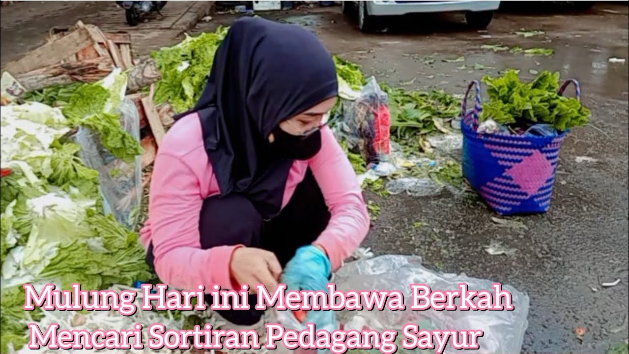 Banyaknya Sortiran Pedagang Sayur ‼️ Mulung hari ini membawa berkah