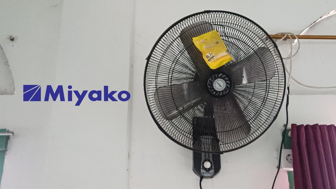 Miyako 20