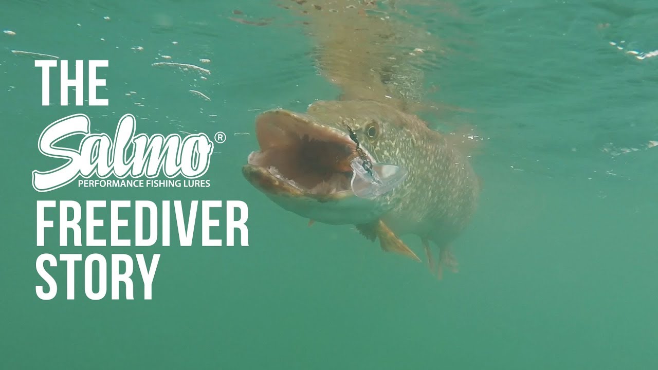 The Salmo Freediver Story