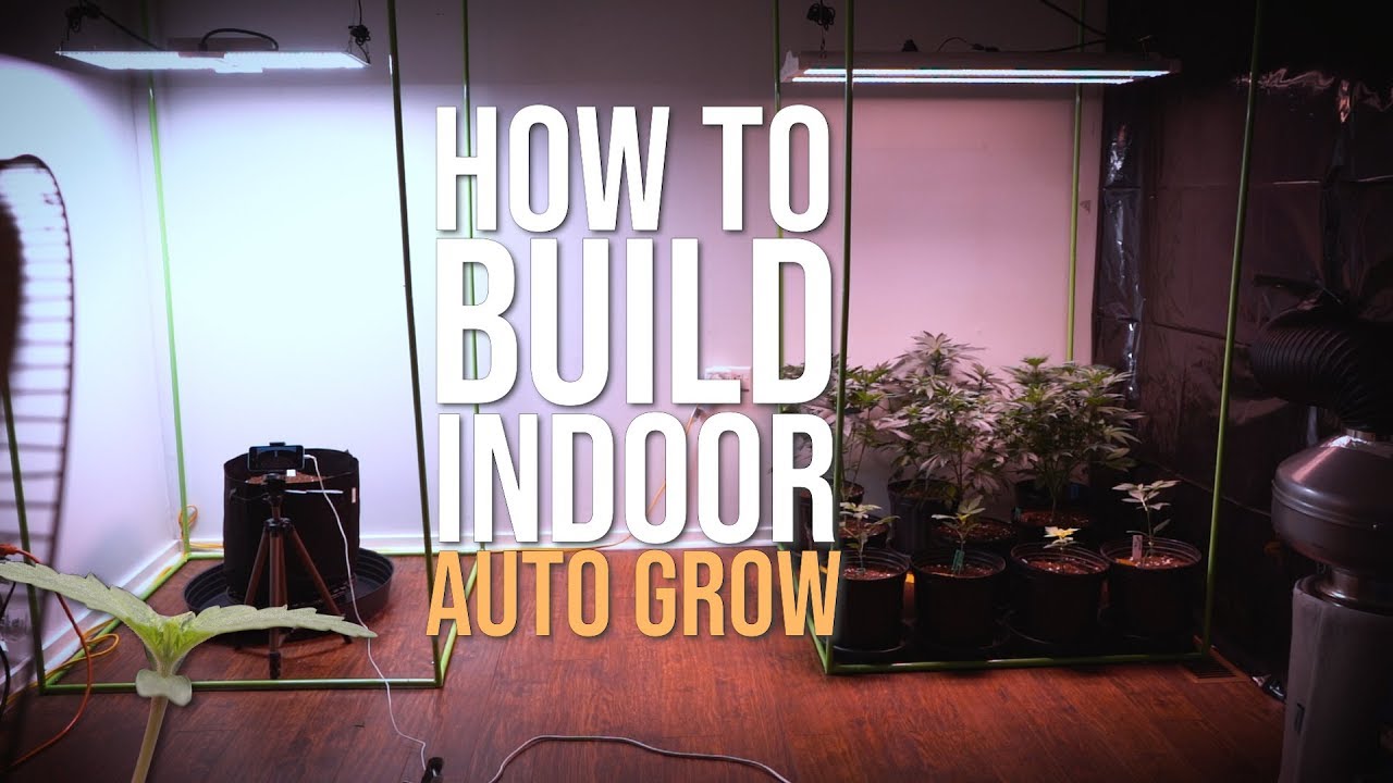 BUILDING AN INDOOR CANNABIS GROW FOR AUTOFLOWERS (No Smell)