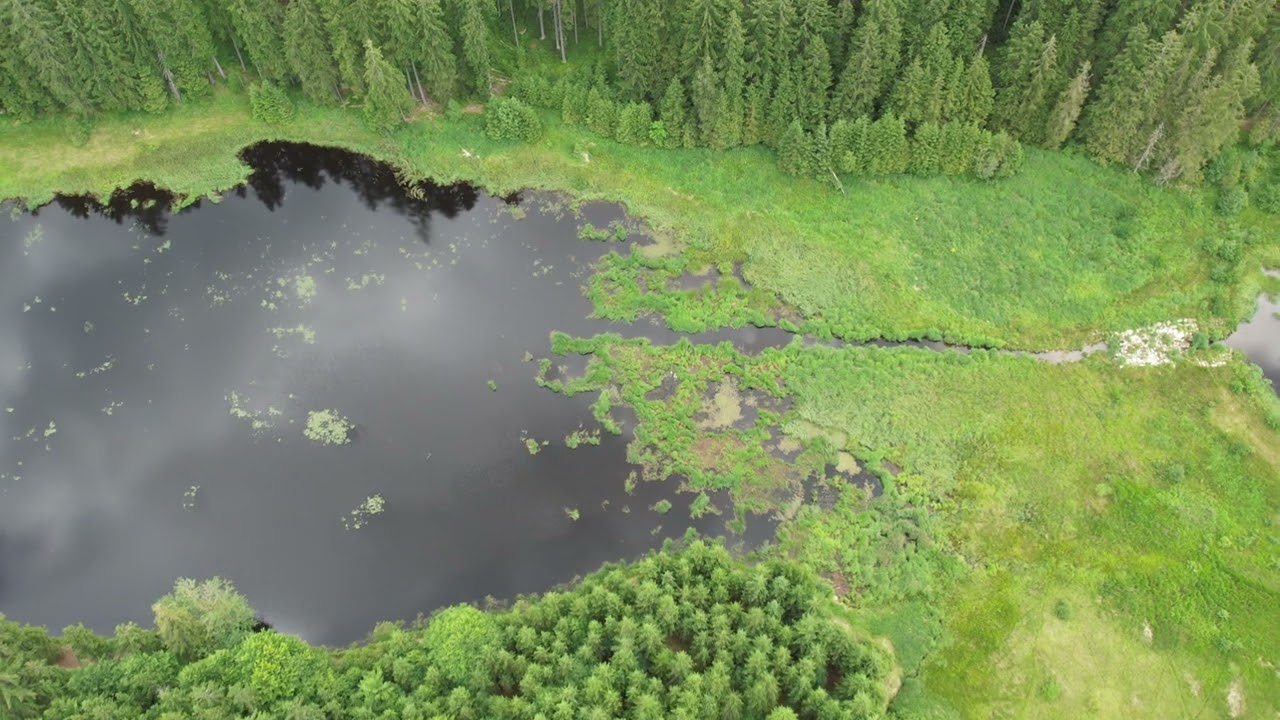 Pohoří na Šumavě  4K