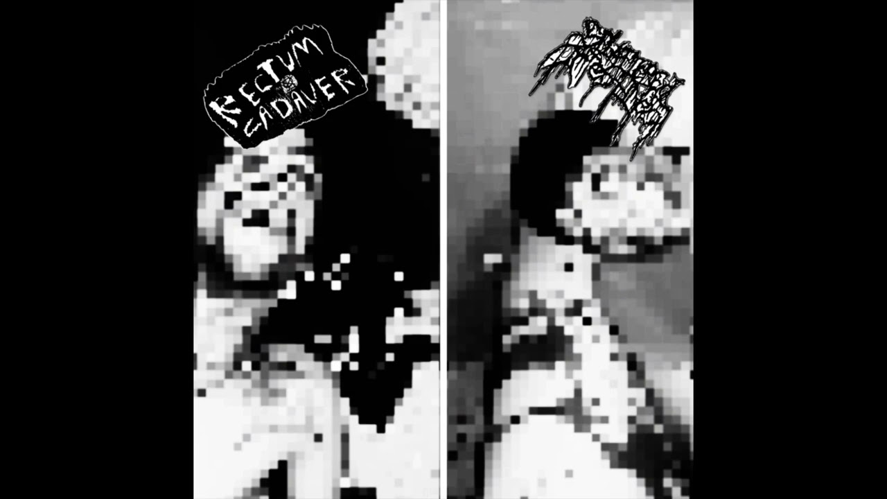 Rectum Cadaver // SPLATTERED INTESTINES [SPLIT 2026]