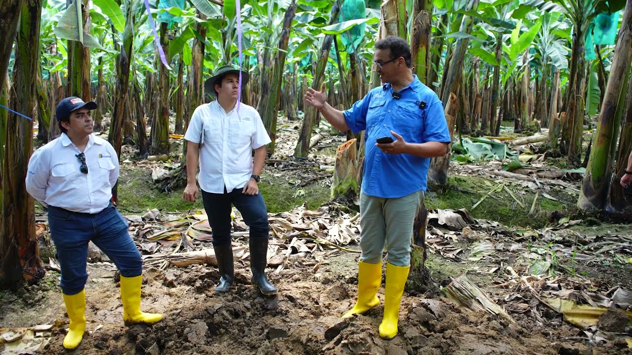 CHARLA DE MICROBIOLOGÍA AGRÍCOLA
