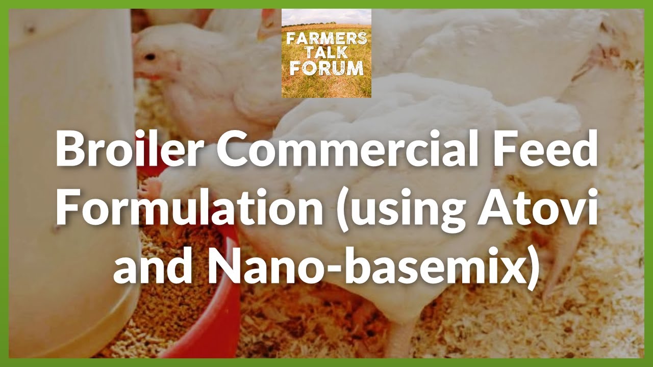Farmers Talk Forum: Broiler Commercial Feed Formulation (using Atovi and Nano-basemix)