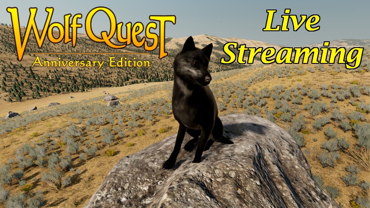 Wolf Quest AE - Single Player on Accurate without HUD and without Music