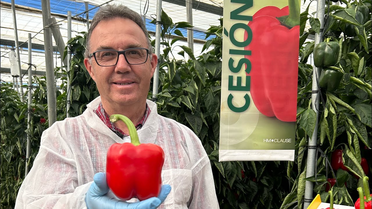 Californias de HMClause para Níjar