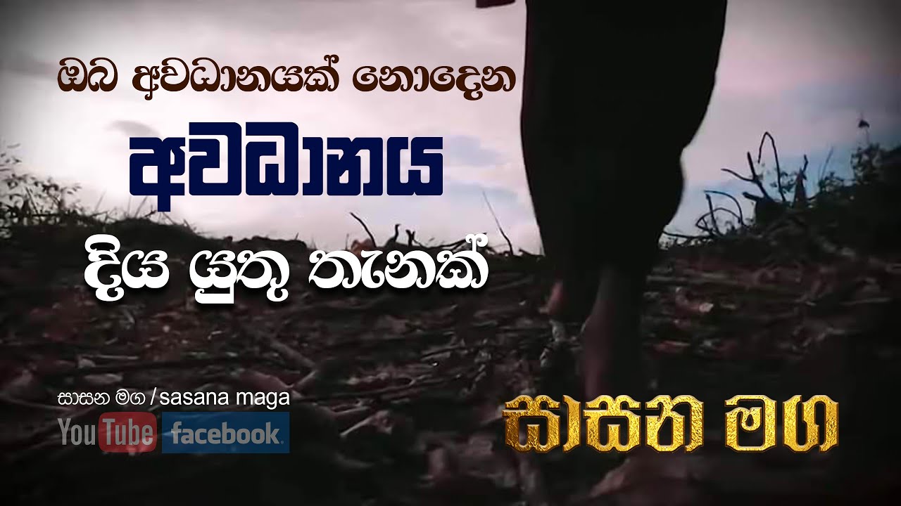 අවධානය
