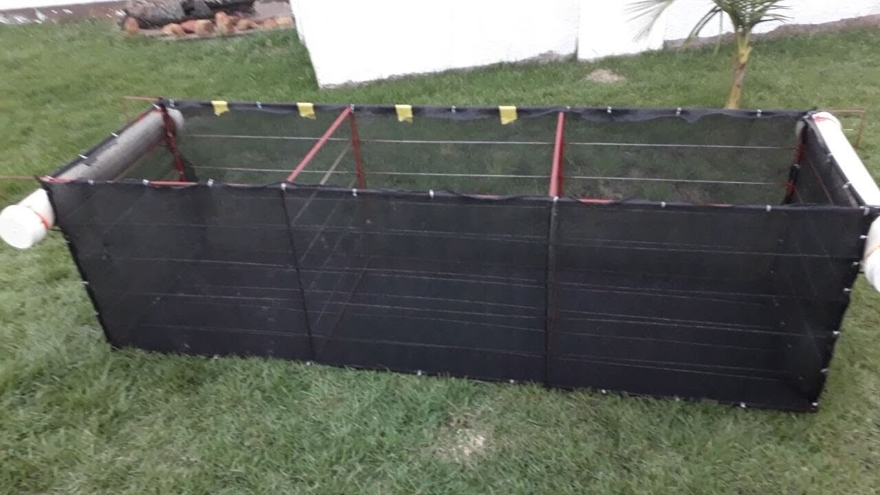 Novo tanque rede gigante!!
