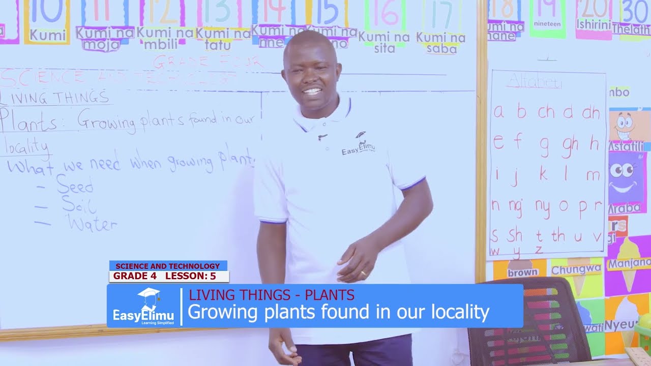 How to grow plants found in your locality | Grade 4 Science and Technology | EasyElimu