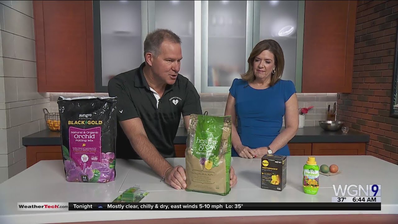 Mr. Fix It Lou Manfredini with tips on taking care of your indoor plants