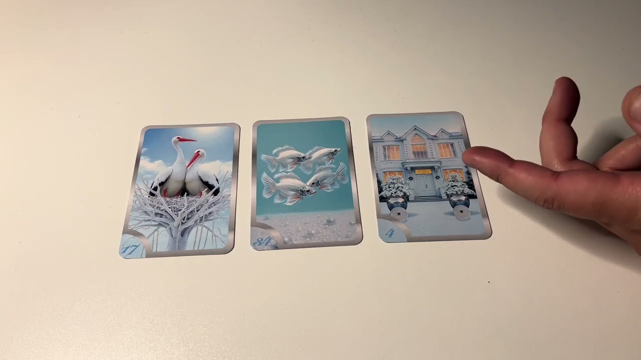 STIER JANUAR 2026 🩵 ♉️ #stier #taurustarot #stierorakel #stiertarot #stierhoroskop #tauruslove 