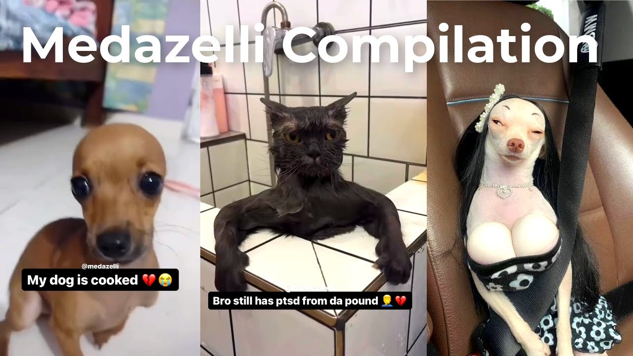 Medazelli TikTok Compilation | (PT.4)