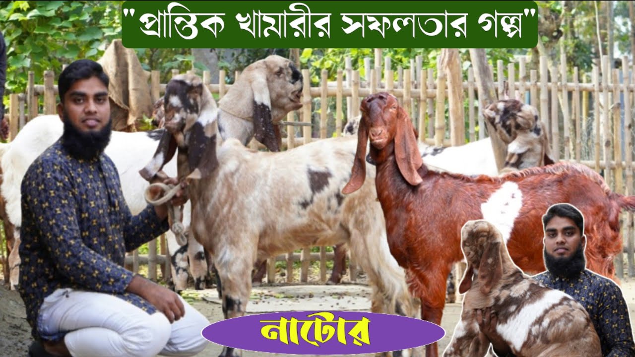 ৬-জানুয়ারী-২০২৬ | একজন প্রান্তিক খামারীর উন্নত জাতের ছাগল লালন-পালন এবং সফলতার চিত্র | 